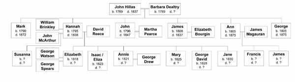 Hanna Hillas Family Tree