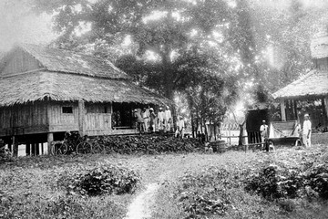 Painting in date (place) of infestation - Bassein 1906